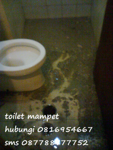 toiletmampet1